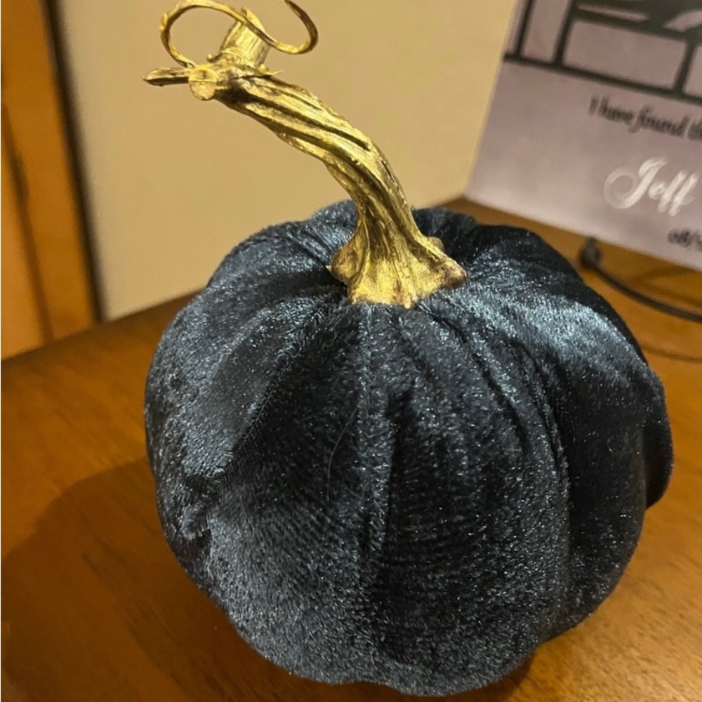 NWOT Royal Blue Velvet Pumpkin